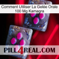 Comment Utiliser La Gelée Orale 100 Mg Kamagra 01